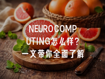 NEUROCOMPUTING怎么样?一文带你全面了解