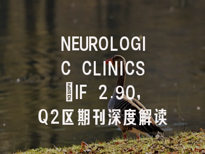 NEUROLOGIC CLINICS:IF 2.90,Q2区期刊深度解读