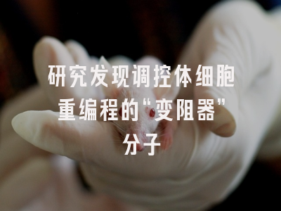 研究发现调控体细胞重编程的“变阻器”分子