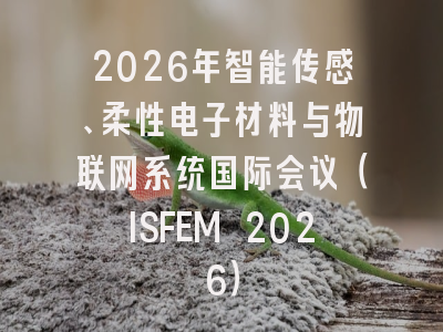 2026年智能传感、柔性电子材料与物联网系统国际会议(ISFEM 2026)