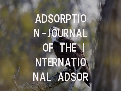 ADSORPTION-JOURNAL OF THE INTERNATIONAL ADSORPT…