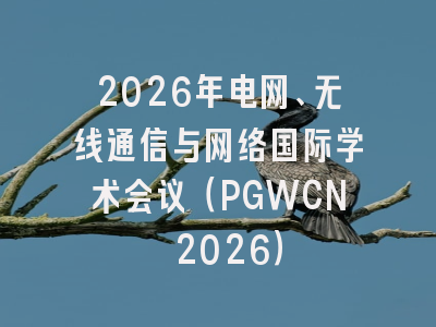 2026年电网、无线通信与网络国际学术会议（PGWCN 2026）