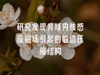 学术会议在线