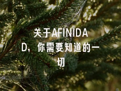 关于AFINIDAD，你需要知道的一切