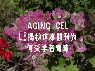 AGING CELL：揭秘这本期刊为何受学者青睐