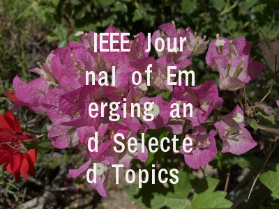 IEEE Journal of Emerging and Selected Topics in…