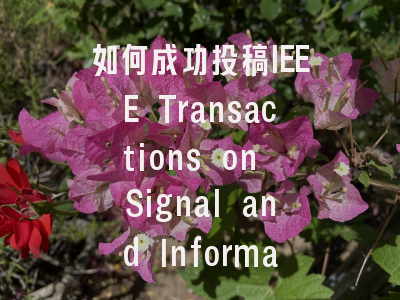 如何成功投稿IEEE Transactions on Signal and Informati…