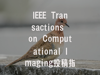 IEEE Transactions on Computational Imaging投稿指南：…
