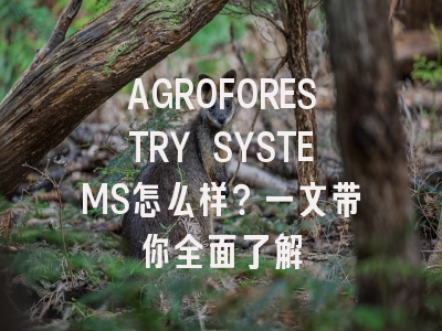 AGROFORESTRY SYSTEMS怎么样？一文带你全面了解