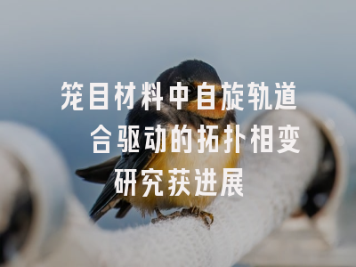 笼目材料中自旋轨道耦合驱动的拓扑相变研究获进展