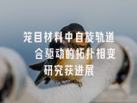 学术会议在线