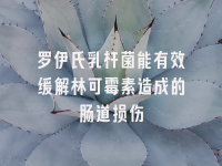 学术会议在线