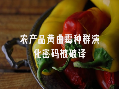 农产品黄曲霉种群演化密码被破译
