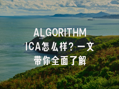 ALGORITHMICA怎么样？一文带你全面了解