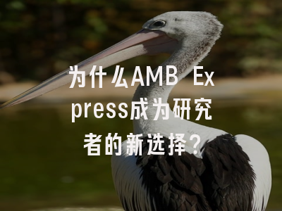 为什么AMB Express成为研究者的新选择？