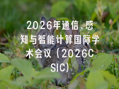 2026年通信、感知与智能计算国际学术会议（2026CSIC）