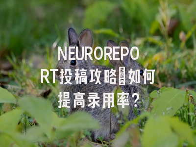 NEUROREPORT投稿攻略：如何提高录用率？
