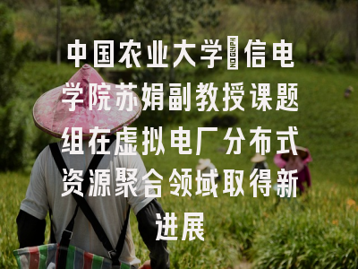 中国农业大学｜信电学院苏娟副教授课题组在虚拟电厂分布式资源聚合领域取得新进展