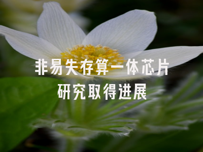 非易失存算一体芯片研究取得进展