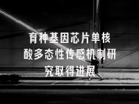 学术会议在线