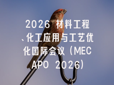 2026 材料工程、化工应用与工艺优化国际会议（MECAPO 2026）