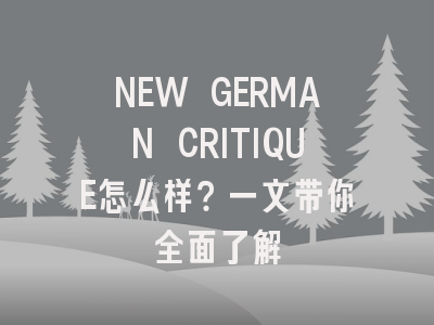 NEW GERMAN CRITIQUE怎么样？一文带你全面了解