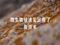 学术会议在线