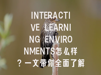 INTERACTIVE LEARNING ENVIRONMENTS怎么样？一文带你全面了解