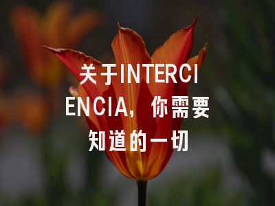 关于INTERCIENCIA，你需要知道的一切