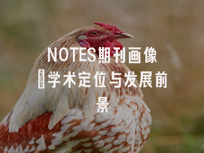 NOTES期刊画像：学术定位与发展前景