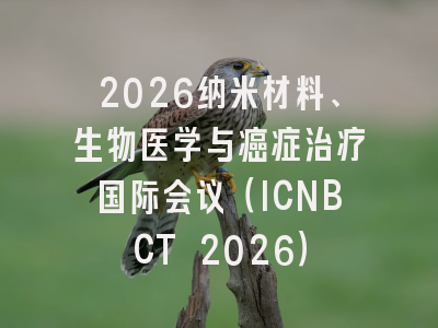 2026纳米材料、生物医学与癌症治疗国际会议（ICNBCT 2026）