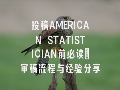 投稿AMERICAN STATISTICIAN前必读：审稿流程与经验分享