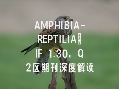 AMPHIBIA-REPTILIA：IF 1.30，Q2区期刊深度解读