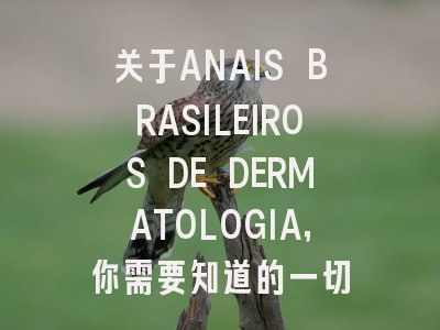 关于ANAIS BRASILEIROS DE DERMATOLOGIA，你需要知道的一切