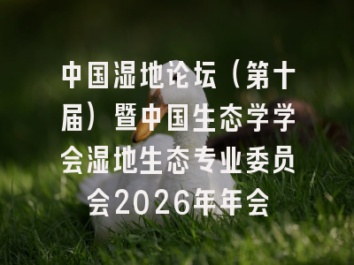 中国湿地论坛（第十届）暨中国生态学学会湿地生态专业委员会2026年年会