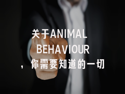 关于ANIMAL BEHAVIOUR，你需要知道的一切