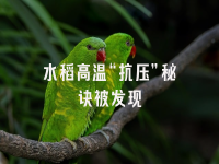 学术会议在线