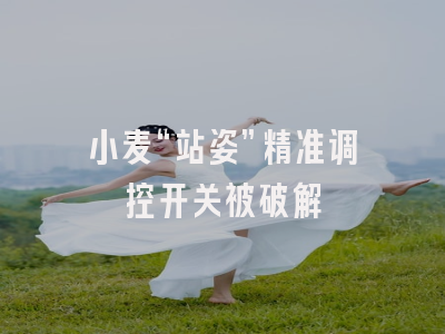小麦“站姿”精准调控开关被破解