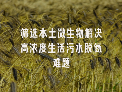 筛选本土微生物解决高浓度生活污水脱氮难题