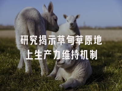 研究揭示草甸草原地上生产力维持机制