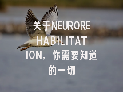 关于NEUROREHABILITATION，你需要知道的一切