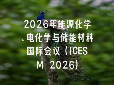 2026年能源化学、电化学与储能材料国际会议(ICESM 2026)