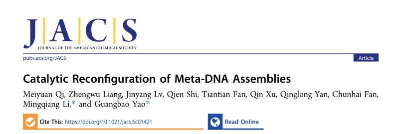 上海交大变革性分子前沿科学中心姚广保团队实现元DNA组装体的催化重构