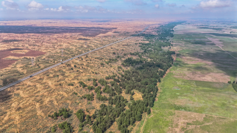 上海交大设计学院陈睿山教授团队“三北”工程研究，为全球荒漠化治理提供“中国方案”