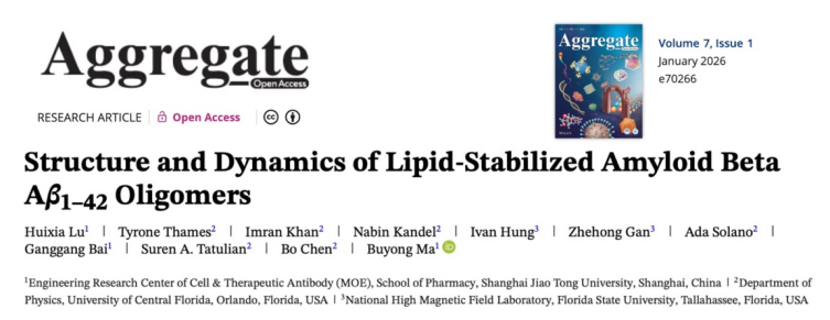 上海交大药学院马步勇课题组：破解阿尔茨海默病关键毒性结构和抗体识别机制