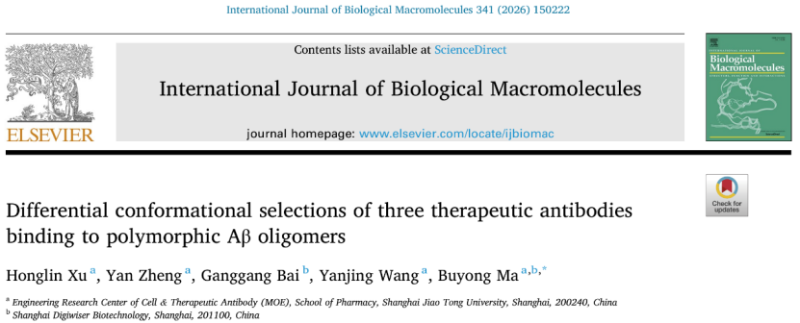 上海交大药学院马步勇课题组：破解阿尔茨海默病关键毒性结构和抗体识别机制