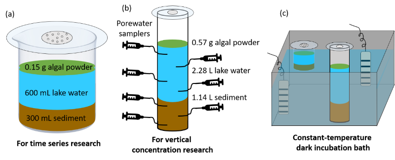 上海交大环境学院王欣泽团队发文揭示藻源有机质分解驱动湖泊沉积物氮循环解耦机制