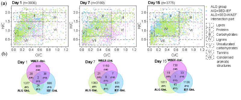 上海交大环境学院王欣泽团队发文揭示藻源有机质分解驱动湖泊沉积物氮循环解耦机制