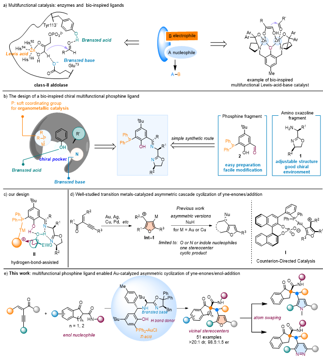 上海交大变革性分子前沿科学中心杨国强团队实现多功能手性膦配体的开发