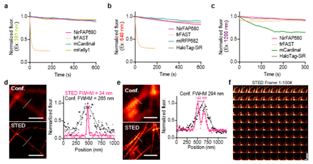 上海交大生物医学工程学院朱麟勇团队与合作者报道近红外荧光激活蛋白研究的突破性进展